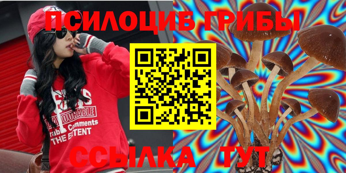Кизляр  Галлюциногенные грибы Psilocybe  Вход с VPN 