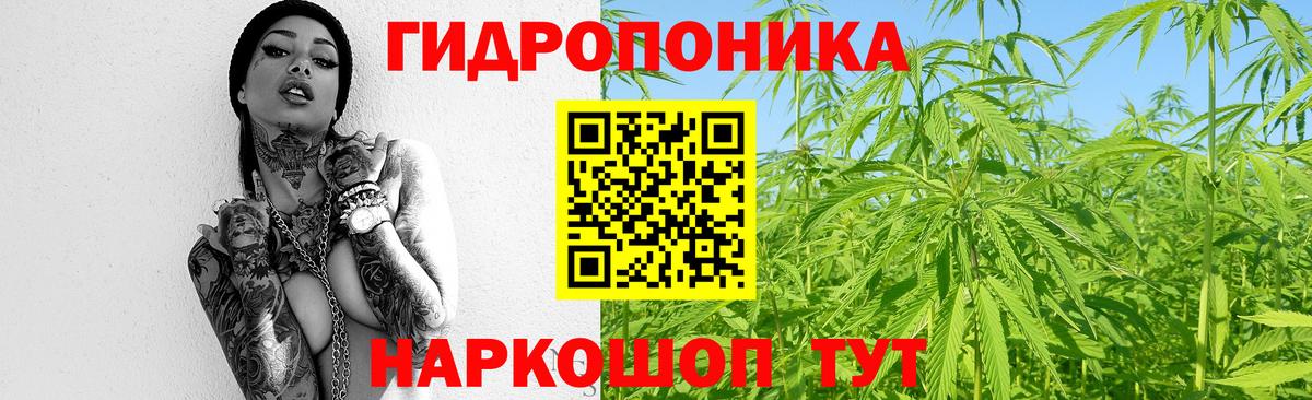 Каннабис семена  Конопля AK-47  Вход с VPN  Кизляр  Канабис Amnesia 